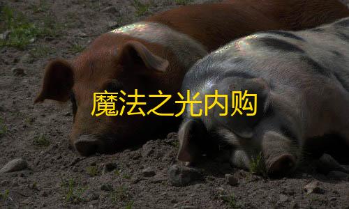 暗区突围正式魔法之光内购